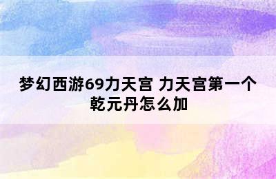 梦幻西游69力天宫 力天宫第一个乾元丹怎么加